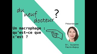 Docteur Suzanne Faure-Dupuy : Un macrophage : qu'est-ce que c'est ?